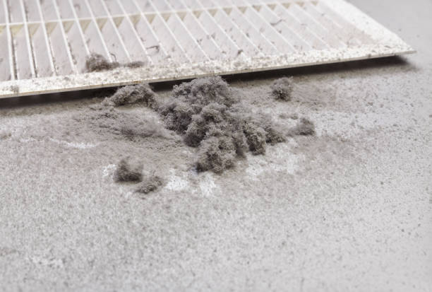 Best Home Air Vent Cleaning  in New Carlisle, IN