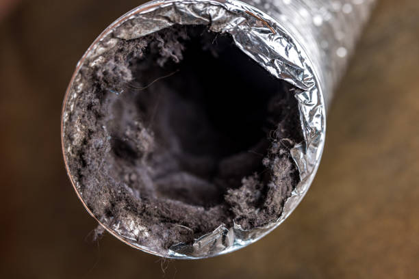 Best Commercial HVAC Duct Cleaning  in New Carlisle, IN