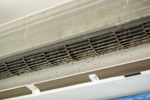 Best Best Air Duct Cleaning Company  in New Carlisle, IN